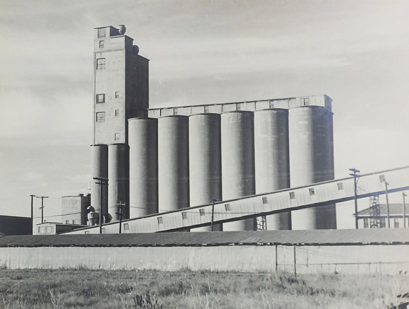 1950's Photograph Of Grain Silos