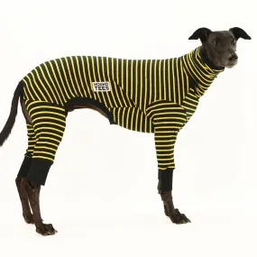 Bumble Greyhound Long Johns Hound-Tee