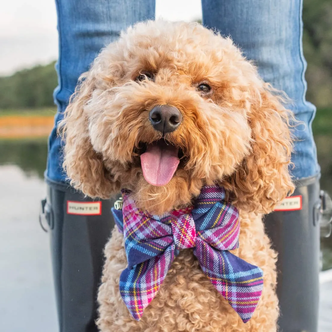 Camilla Plaid Flannel Lady Bow Collar