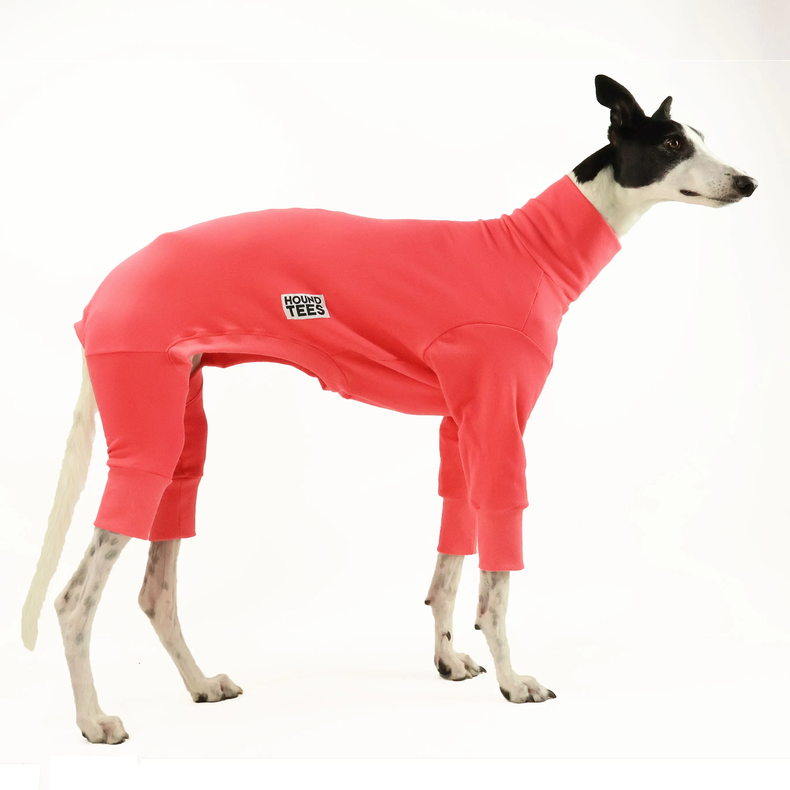 Watermelon Greyhound Snoot Suit